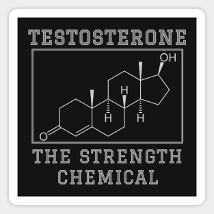 Testosterone chemical formula Magnet